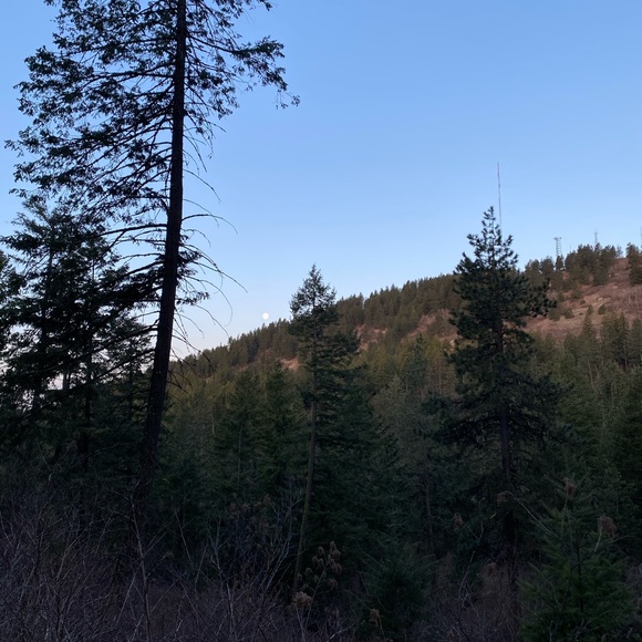 Meet your Posher, Kendra - Picture 1 of 1